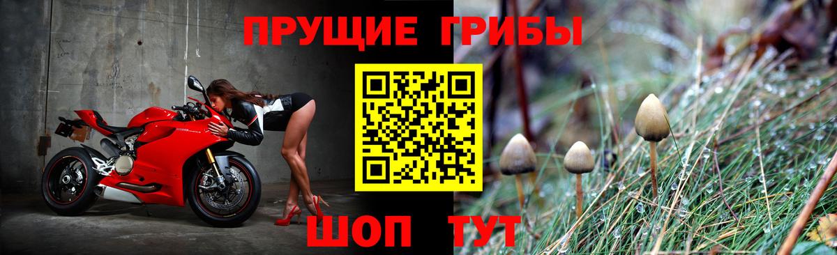 Псилоцибиновые грибы Magic Shrooms Кудымкар